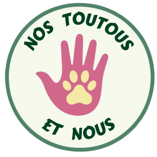 Éducateur canin Saint-Dier d'Auvergne