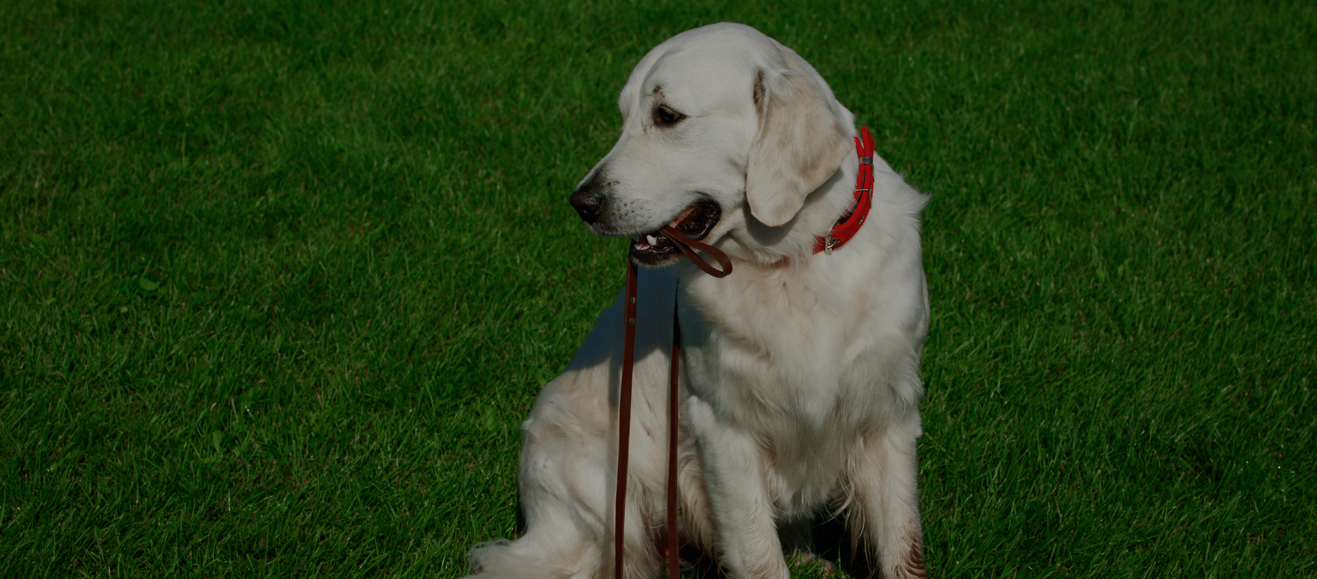 Design sans titre(46)