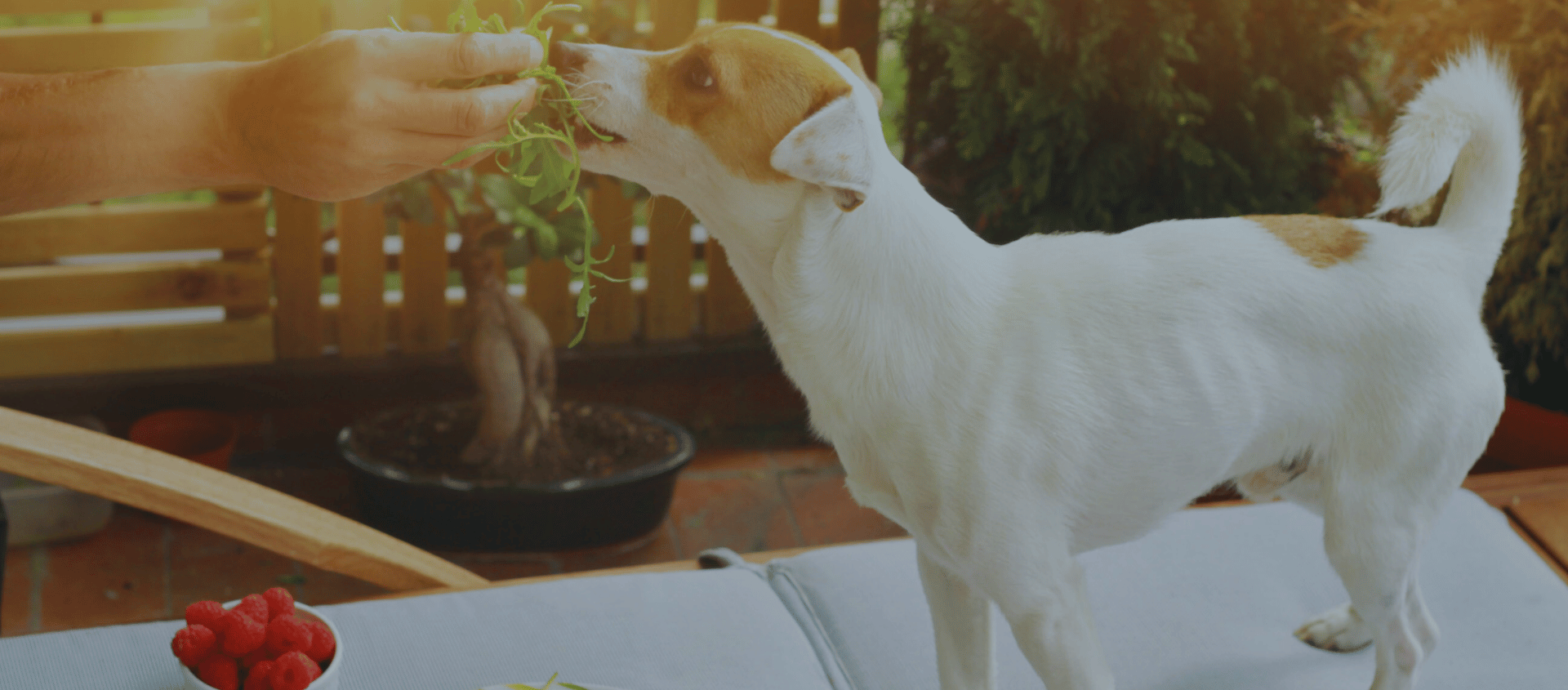 Design sans titre(47)