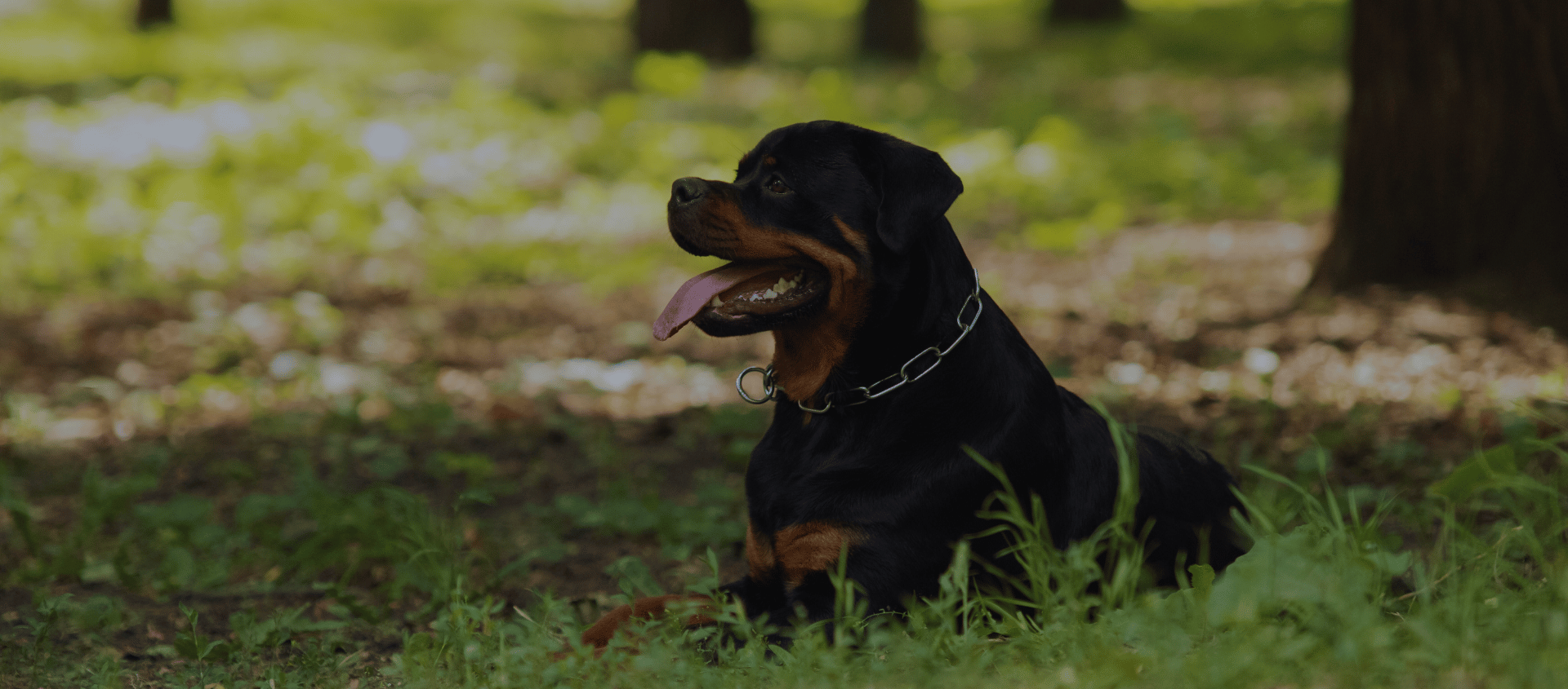 Design sans titre(48)